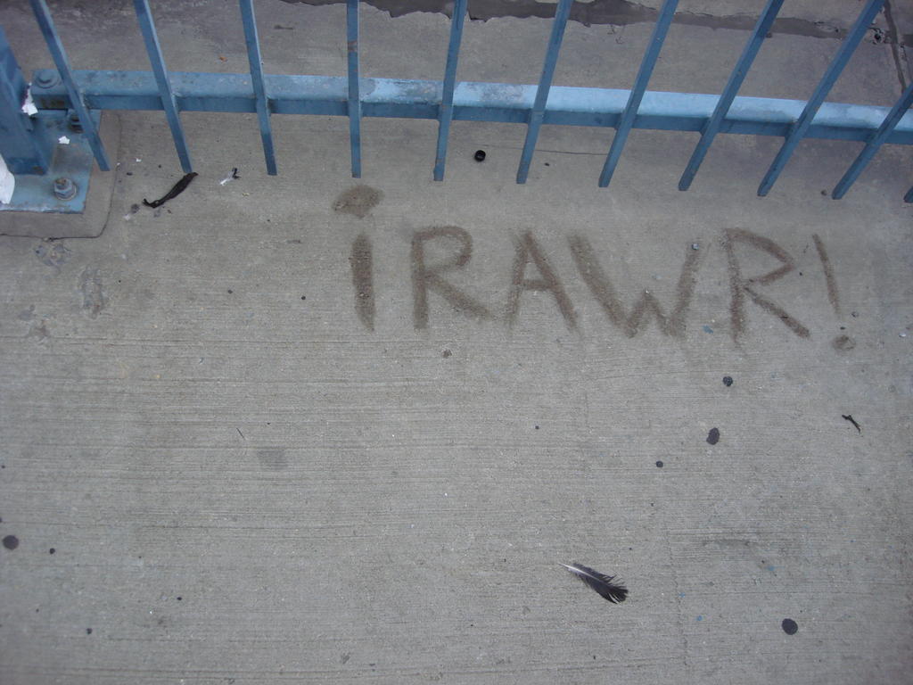 iRAWR! or upsidedownexclamationpoint RAWR! ?