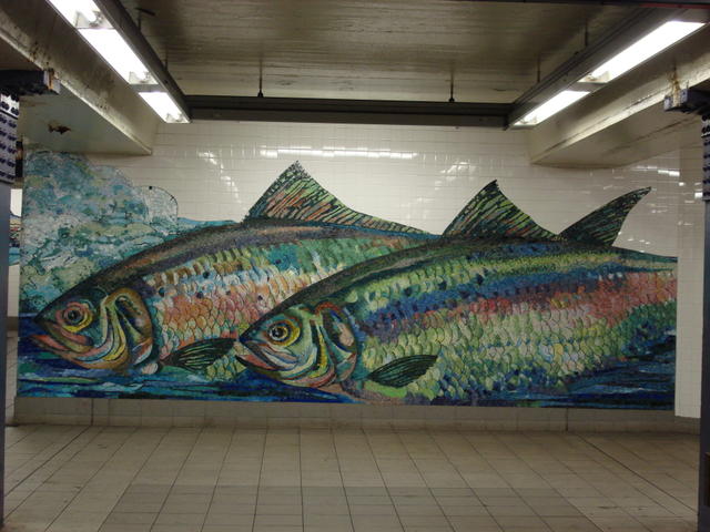 Fishy mosaic