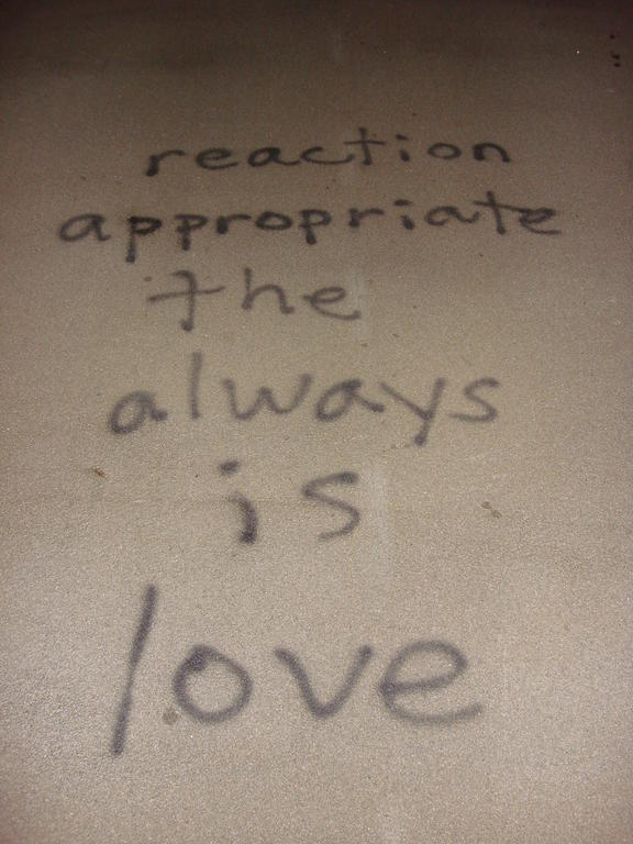 The appropriate reaction always is love (Willamsburg Bridge)