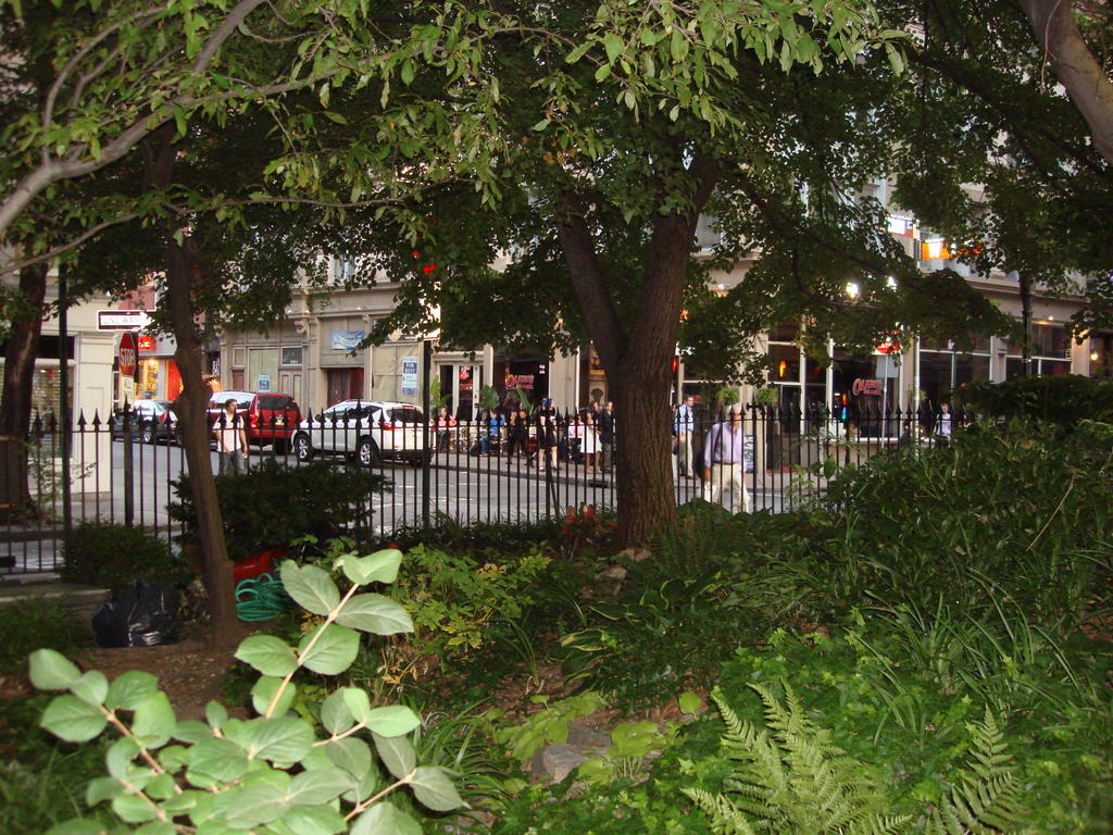 Garden in the West Village