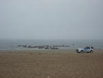 Coney Island Beach