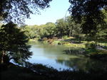 lake in Central Park