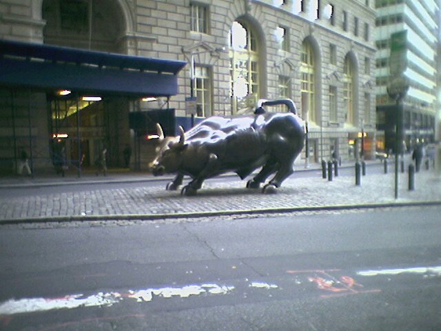 The "Wall St. Bull" that appeared unexpectedly one day and never left