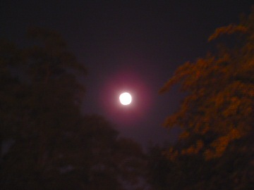 the moon.